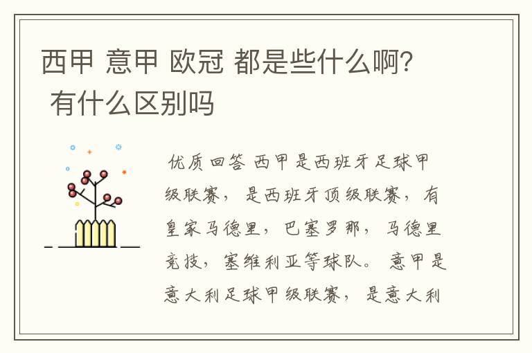 西甲 意甲 欧冠 都是些什么啊? 有什么区别吗