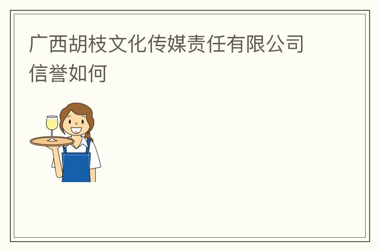 广西胡枝文化传媒责任有限公司信誉如何