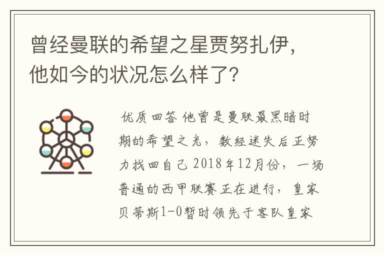 曾经曼联的希望之星贾努扎伊，他如今的状况怎么样了？