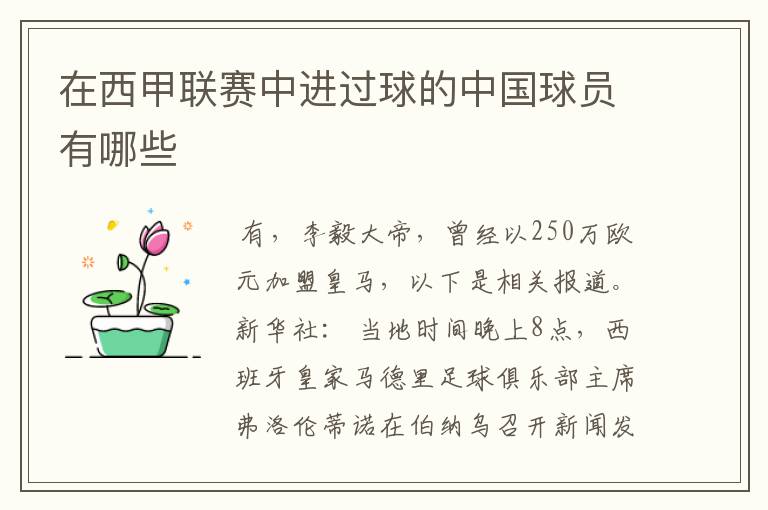 在西甲联赛中进过球的中国球员有哪些