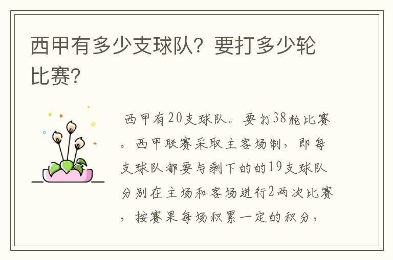 西甲有多少支球队?要打多少轮比赛?
