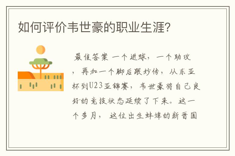 如何评价韦世豪的职业生涯？