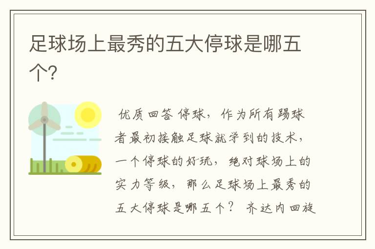 足球场上最秀的五大停球是哪五个?