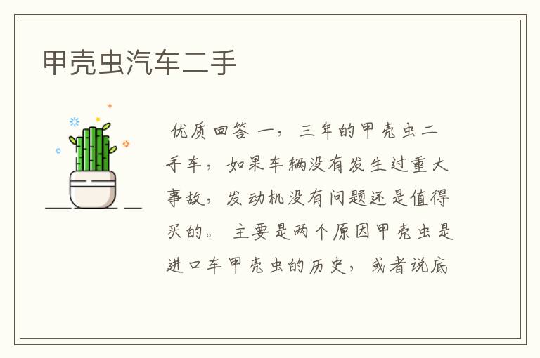 甲壳虫汽车二手