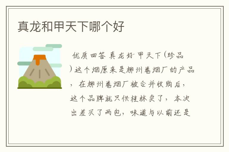 真龙和甲天下哪个好