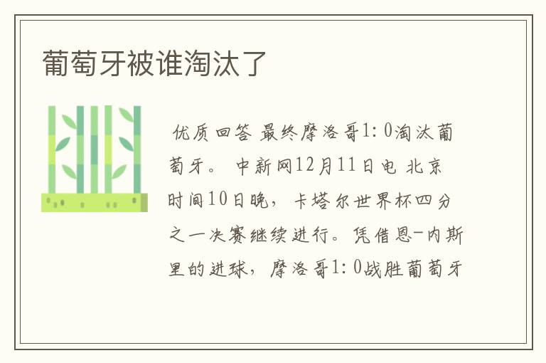 葡萄牙被谁淘汰了