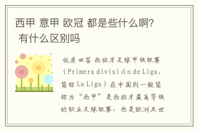 西甲 意甲 欧冠 都是些什么啊? 有什么区别吗