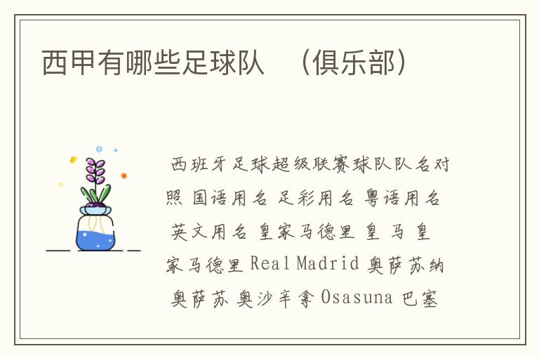 西甲有哪些足球队 (俱乐部)