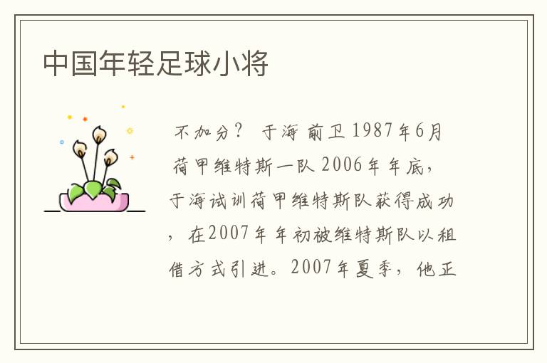 中国年轻足球小将