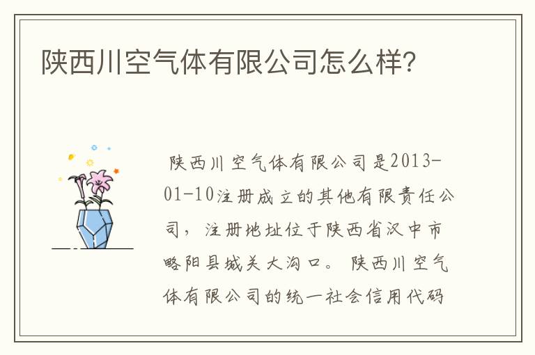 陕西川空气体有限公司怎么样?