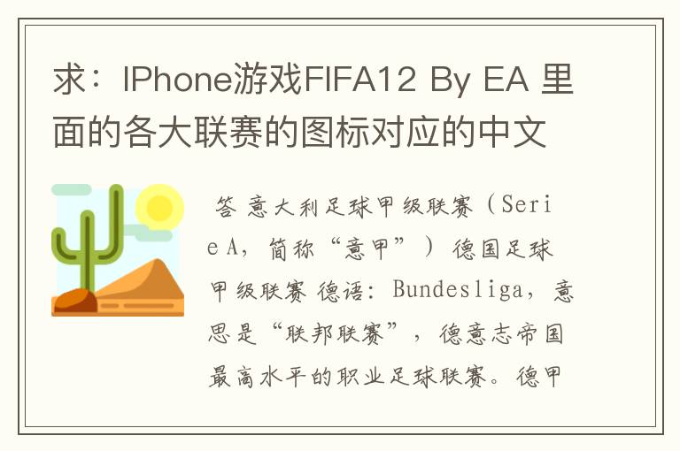 求:IPhone游戏FIFA12 By EA 里面的各大联赛的图标对应的中文名称 例如:Liga BBVA 西甲