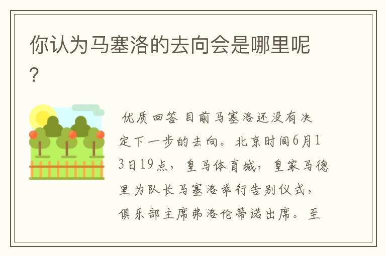 你认为马塞洛的去向会是哪里呢?