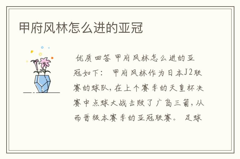 甲府风林怎么进的亚冠