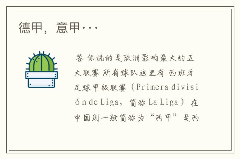 德甲,意甲···