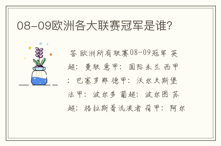 08-09欧洲各大联赛冠军是谁?