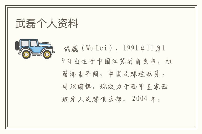 武磊个人资料