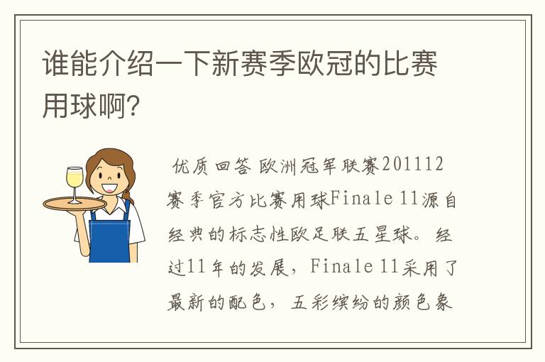谁能介绍一下新赛季欧冠的比赛用球啊?