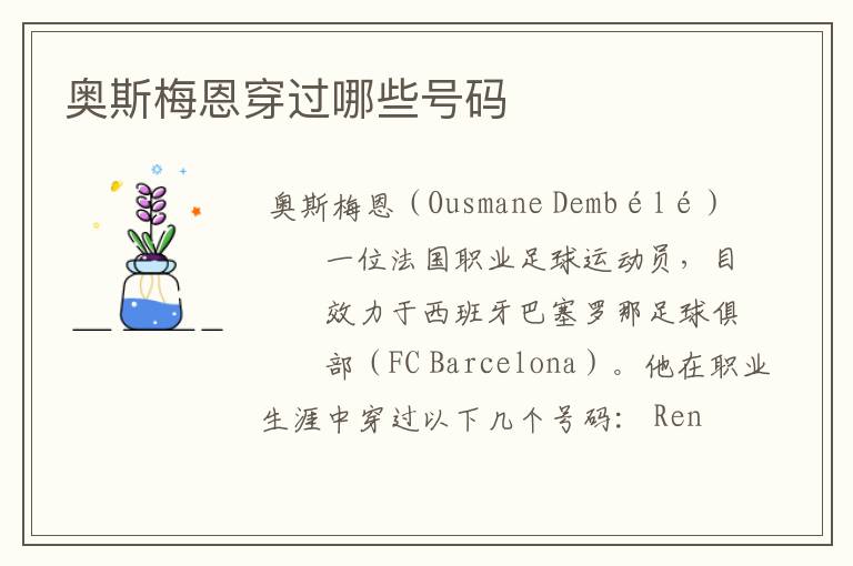 奥斯梅恩穿过哪些号码
