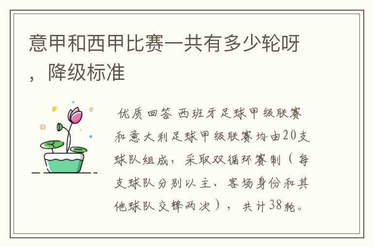 意甲和西甲比赛一共有多少轮呀,降级标准