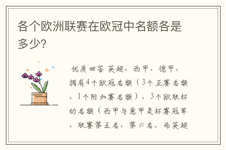 各个欧洲联赛在欧冠中名额各是多少?