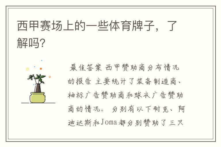 西甲赛场上的一些体育牌子,了解吗?
