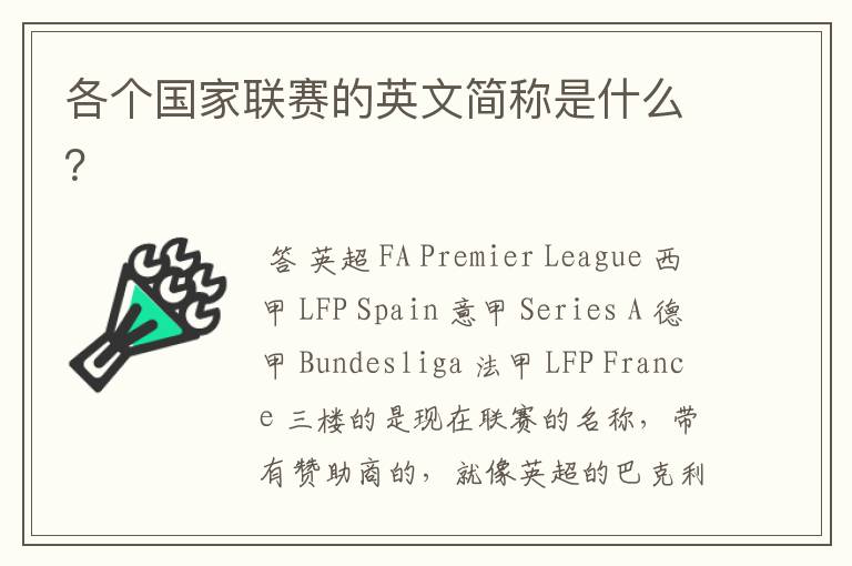各个国家联赛的英文简称是什么?