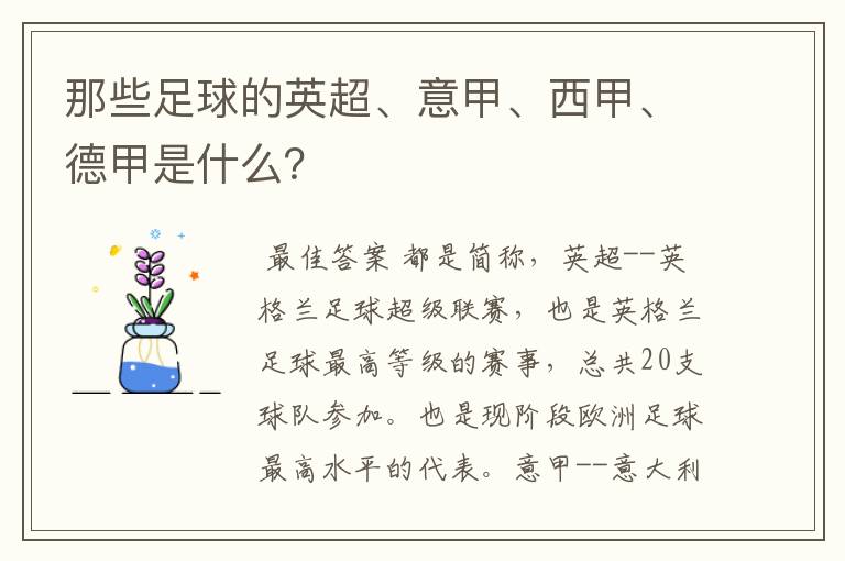 那些足球的英超、意甲、西甲、德甲是什么?