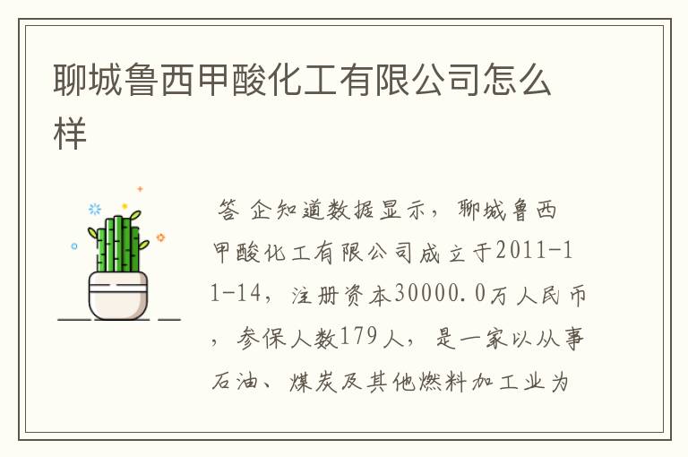 聊城鲁西甲酸化工有限公司怎么样