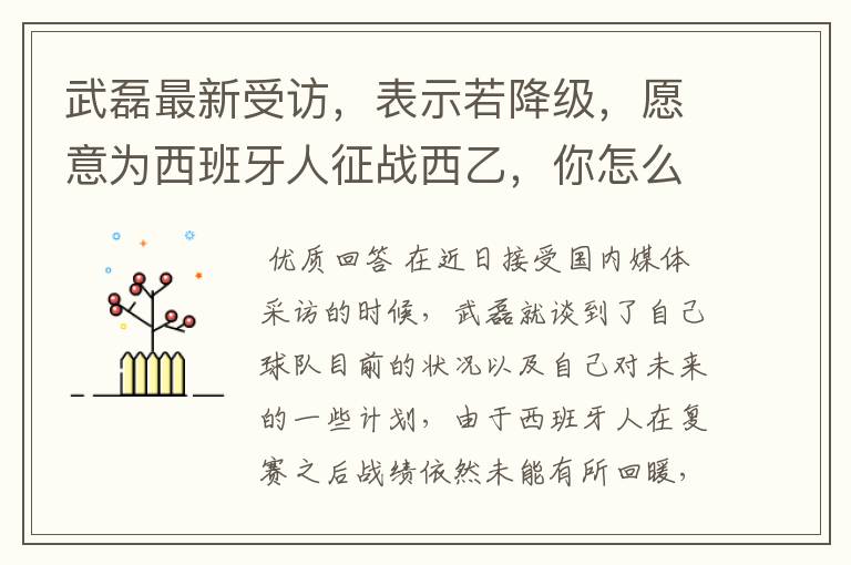 武磊最新受访,表示若降级,愿意为西班牙人征战西乙,你怎么看?