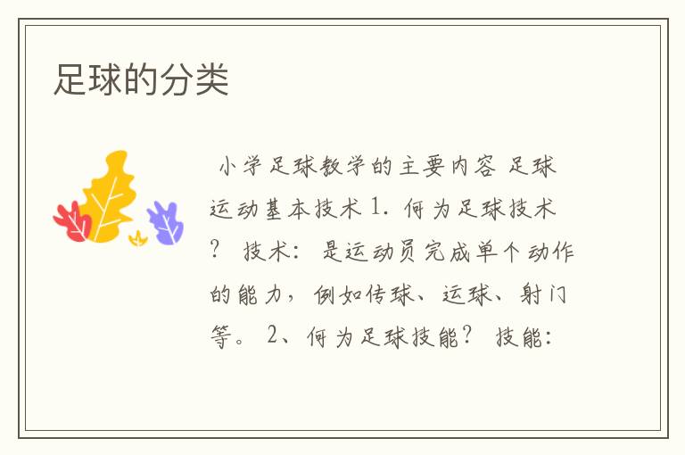 足球的分类