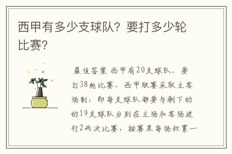 西甲有多少支球队?要打多少轮比赛?