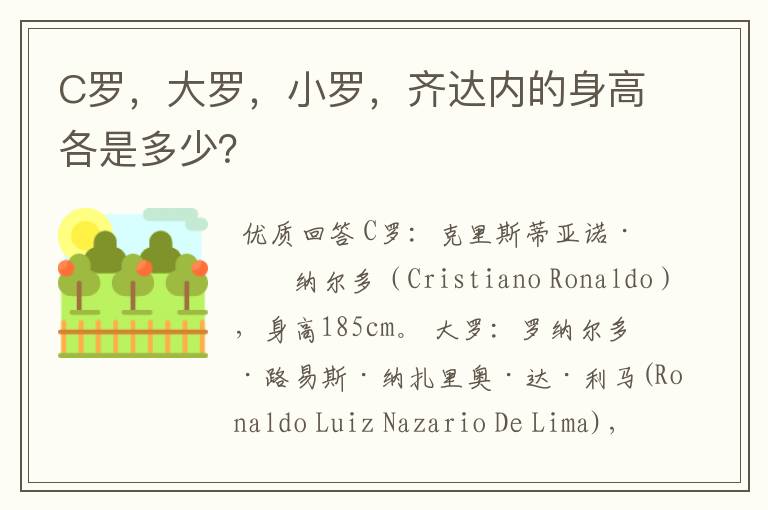 C罗,大罗,小罗,齐达内的身高各是多少?