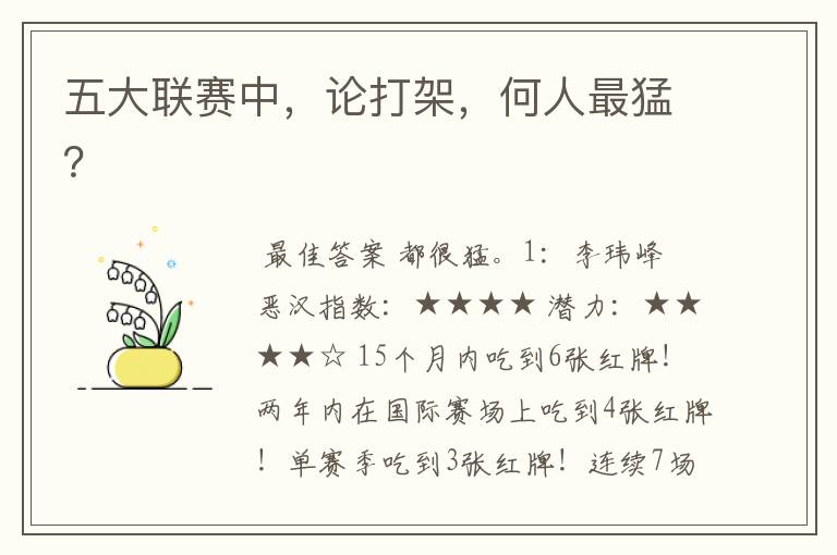 五大联赛中,论打架,何人最猛?