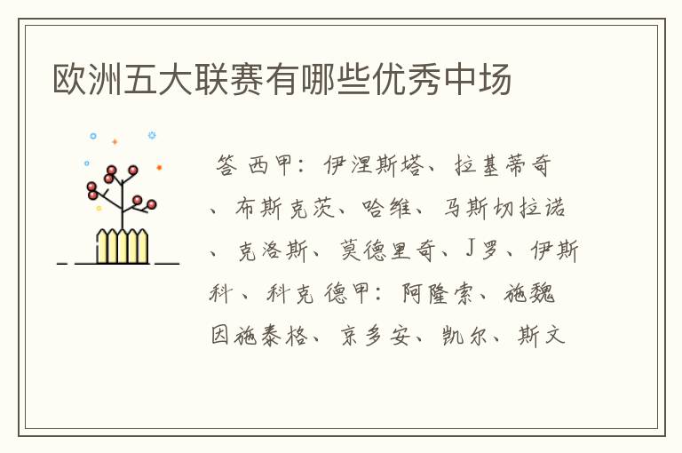 欧洲五大联赛有哪些优秀中场