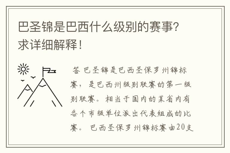 巴圣锦是巴西什么级别的赛事?求详细解释!