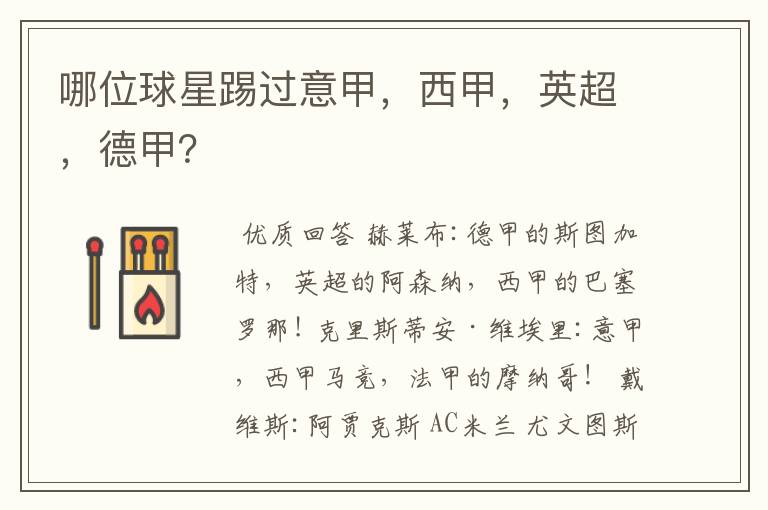 哪位球星踢过意甲,西甲,英超,德甲?