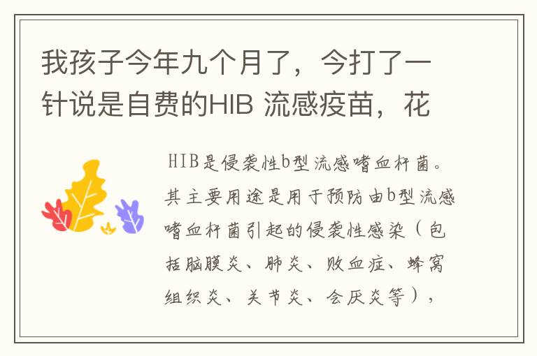 我孩子今年九个月了,今打了一针说是自费的HIB 流感疫苗,花了80元。感觉小孩一下午就焦燥不安.