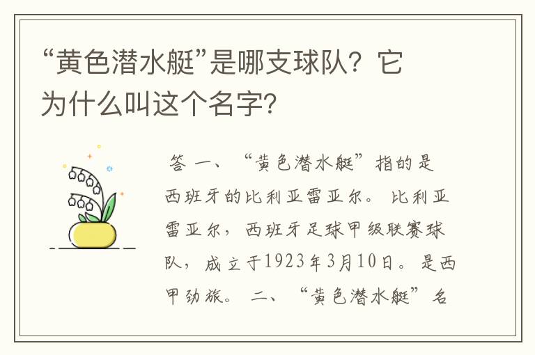 “黄色潜水艇”是哪支球队?它为什么叫这个名字?