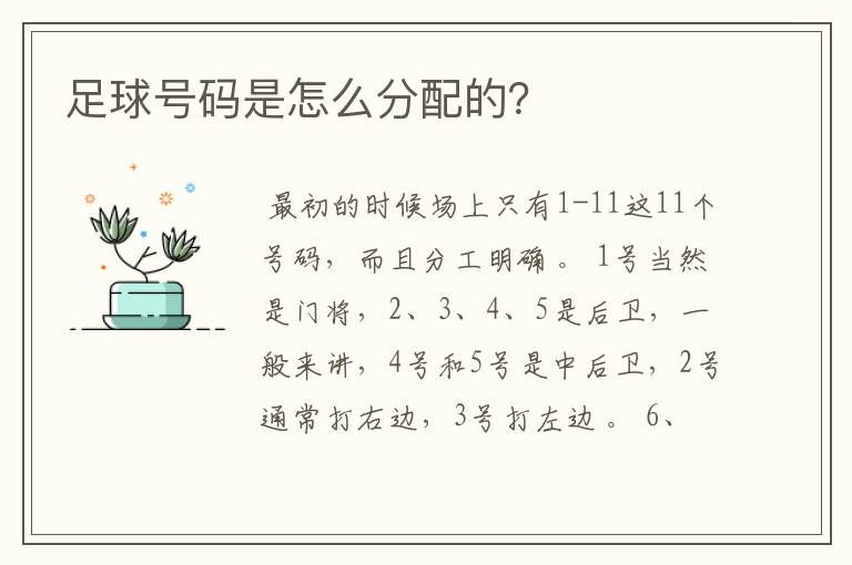 足球号码是怎么分配的?