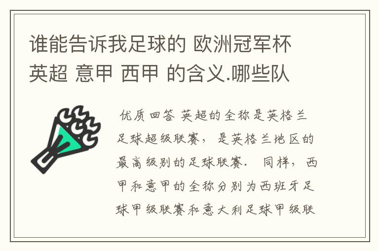 谁能告诉我足球的 欧洲冠军杯 英超 意甲 西甲 的含义.哪些队  怎么进行比赛的.
