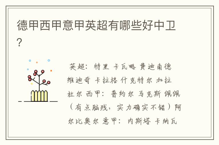 德甲西甲意甲英超有哪些好中卫?