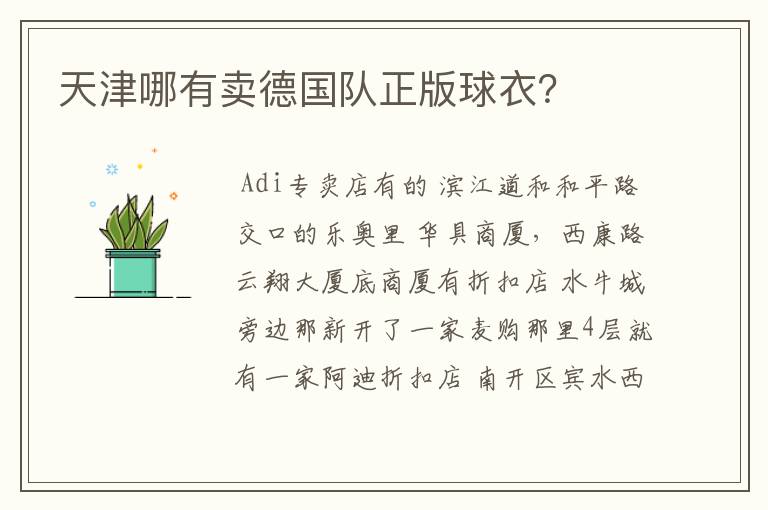 天津哪有卖德国队正版球衣?