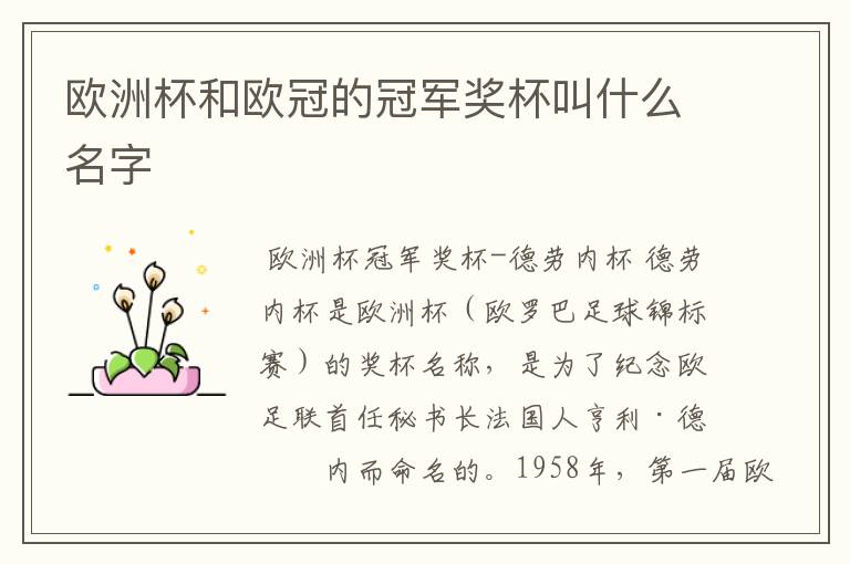 欧洲杯和欧冠的冠军奖杯叫什么名字