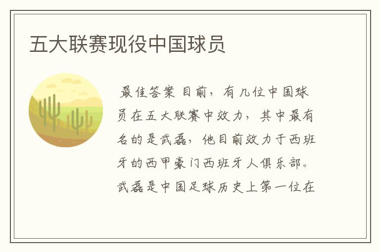 五大联赛现役中国球员