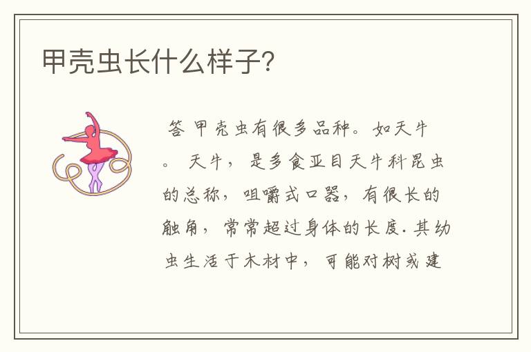 甲壳虫长什么样子?