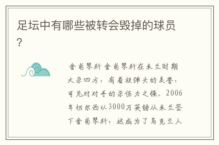 足坛中有哪些被转会毁掉的球员?