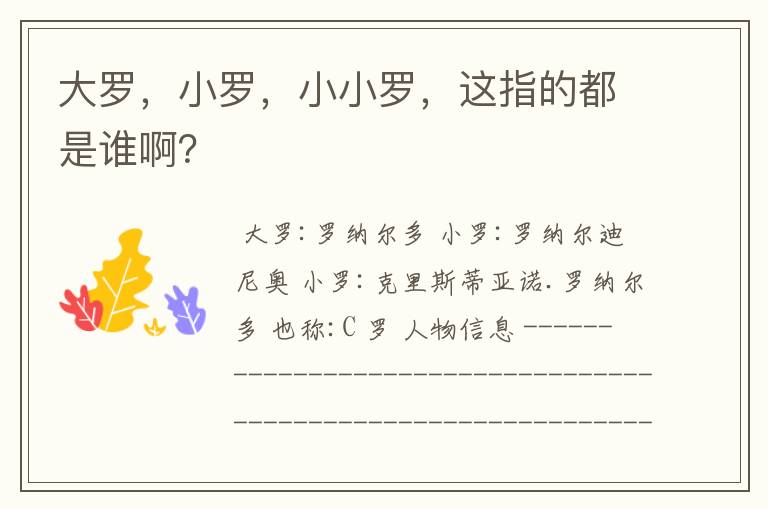 大罗,小罗,小小罗,这指的都是谁啊?