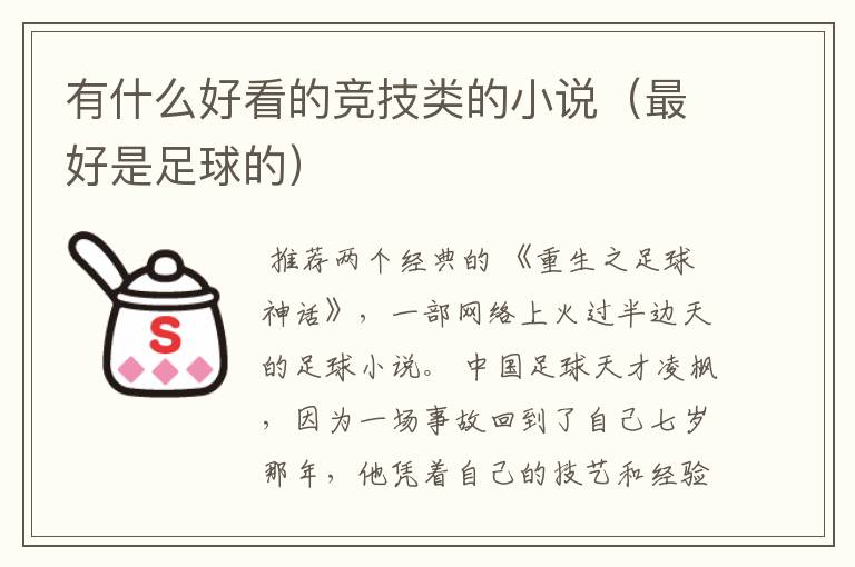 有什么好看的竞技类的小说(最好是足球的)