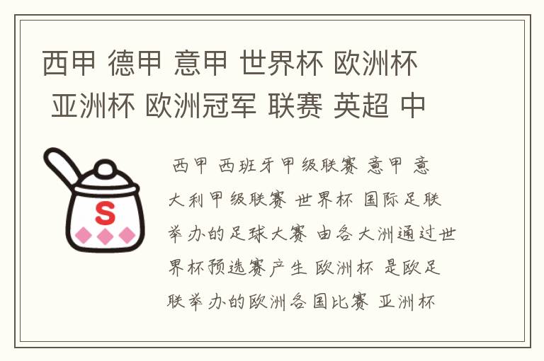 西甲 德甲 意甲 世界杯 欧洲杯 亚洲杯 欧洲冠军 联赛 英超 中超 分别是什么意思啊?