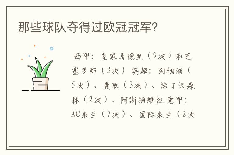 那些球队夺得过欧冠冠军?